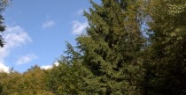 Testy za³ogi Dobrowolski/Dobrowolski Testy za³ogi Dobrowolski/Dobrowolski